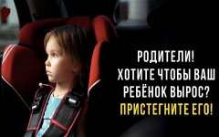 Госавтоинспекция призвала россиян ответственно подходить к перевозке детей