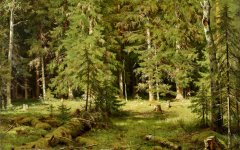«Шишкин И.И. - лесной художник» 